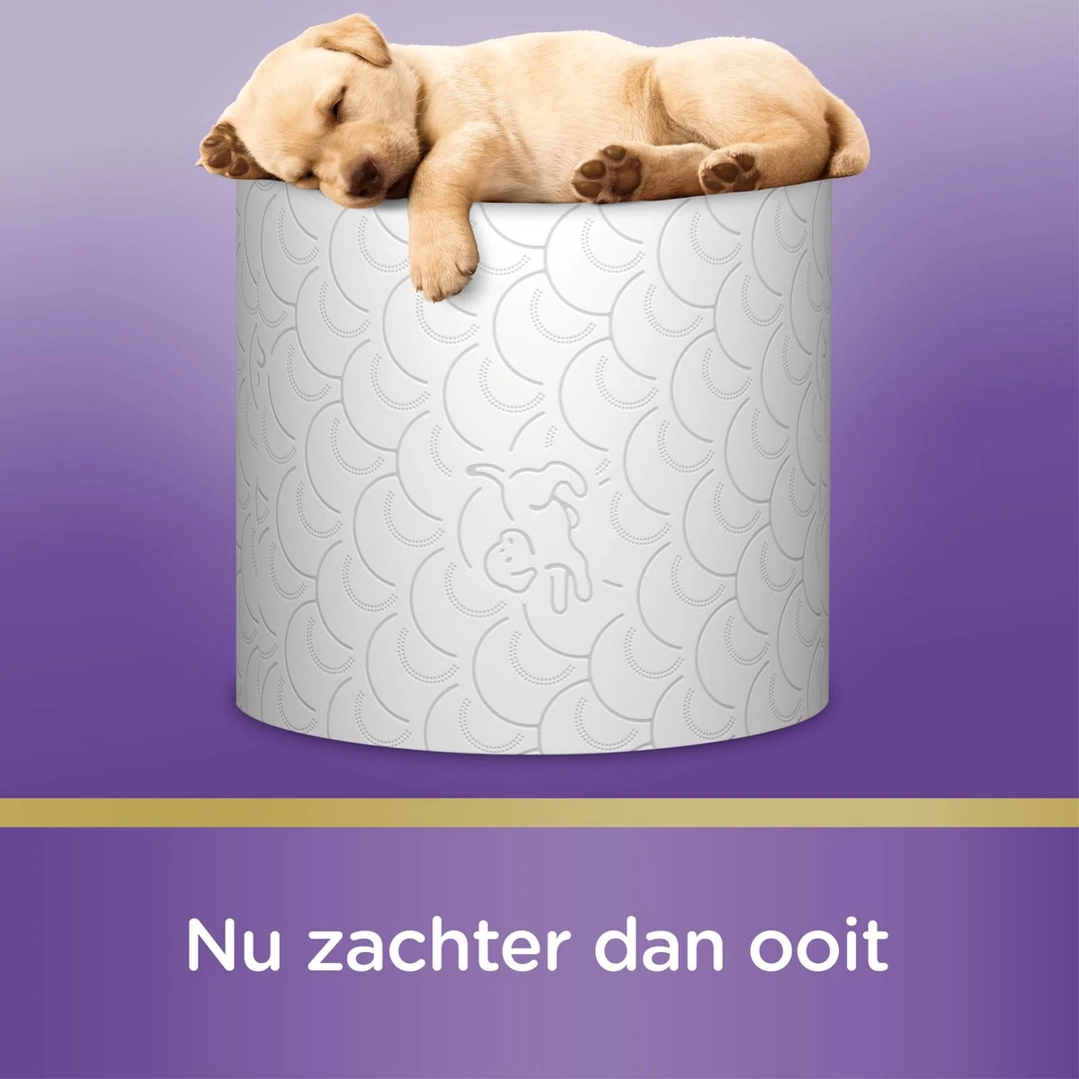 Page Toiletpapier - 42 Rollen - Kussenzacht Wc Papier (3-laags) - Voordeelverpakking - Afbeelding 11