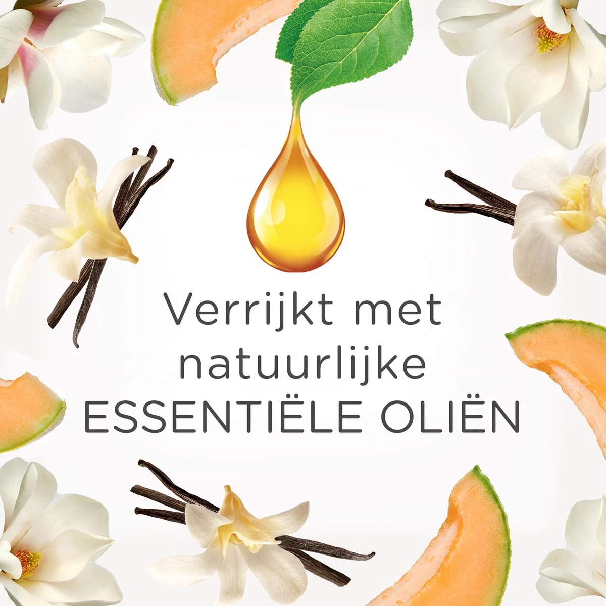 Air Wick Elektrische Luchtverfrisser - Zalige Zomer - 3 Navullingen - Afbeelding 4